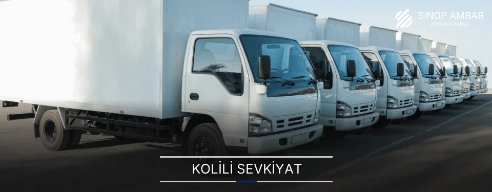 Sinop Kolili Sevkiyat Ambar Firmaları